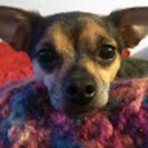 Meet your Posher, Leslie